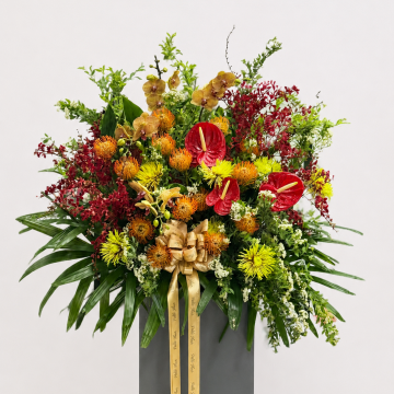 Grand Pincushion and Coral Orchid Congratulatory Stand