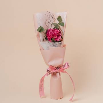 Single Stalk Carnation Bouquet