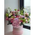 New Flowers Collection
