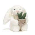 Add-On Gift