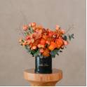 New Flowers Collection
