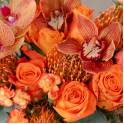 New Flowers Collection