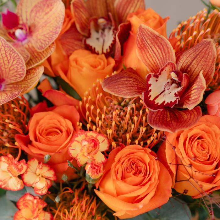 New Flowers Collection