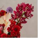 Cymbidium Orchid and Allium Vase Arrangement