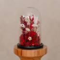 Forever Rose in Glass Dome