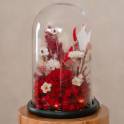 Forever Rose in Glass Dome