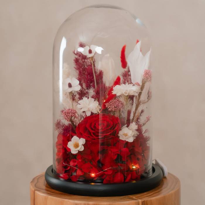 Forever Rose in Glass Dome