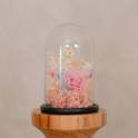 Forever Rose in Glass Dome