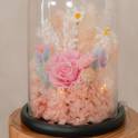 Forever Rose in Glass Dome