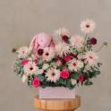 Jellycat Blushkin Bunny and Cheerful Holland Gerberas