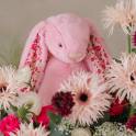 Jellycat Blushkin Bunny and Cheerful Holland Gerberas