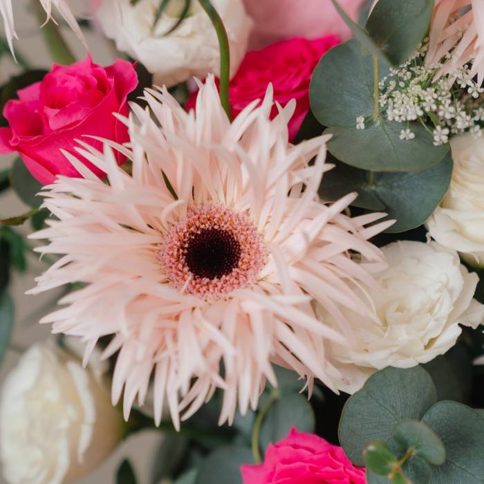 Jellycat Blushkin Bunny and Cheerful Holland Gerberas