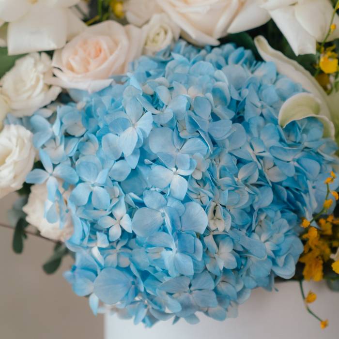 New Flowers Collection