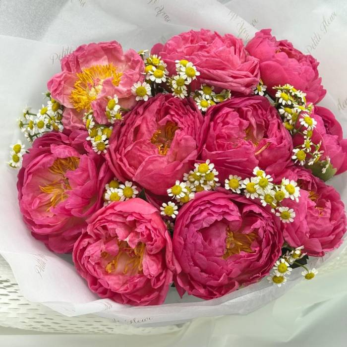 New Flowers Collection