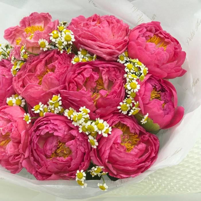 New Flowers Collection