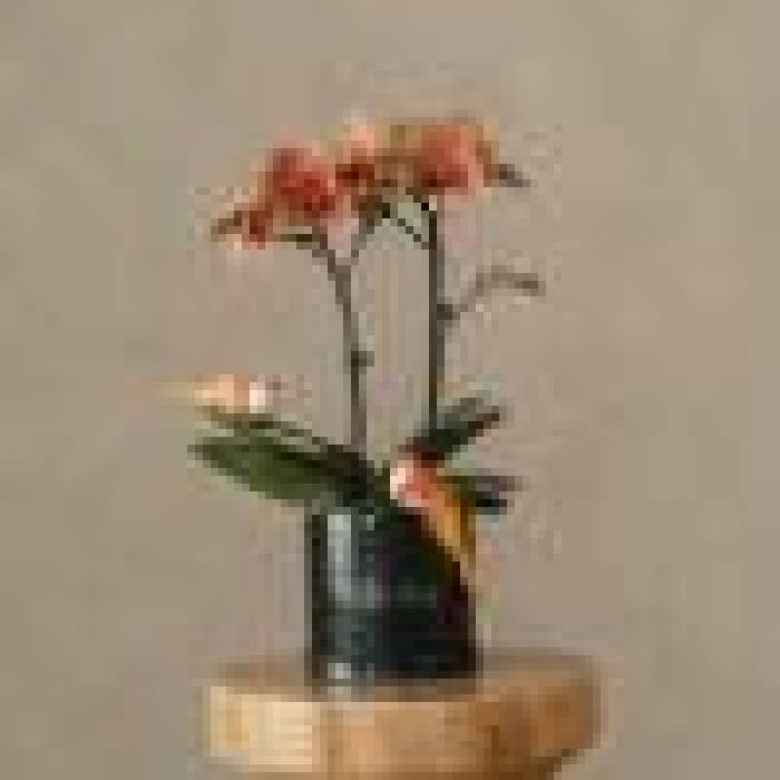 Petite Orchid Vase