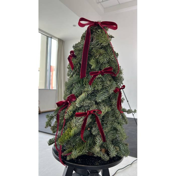Elegant Velvet Tree