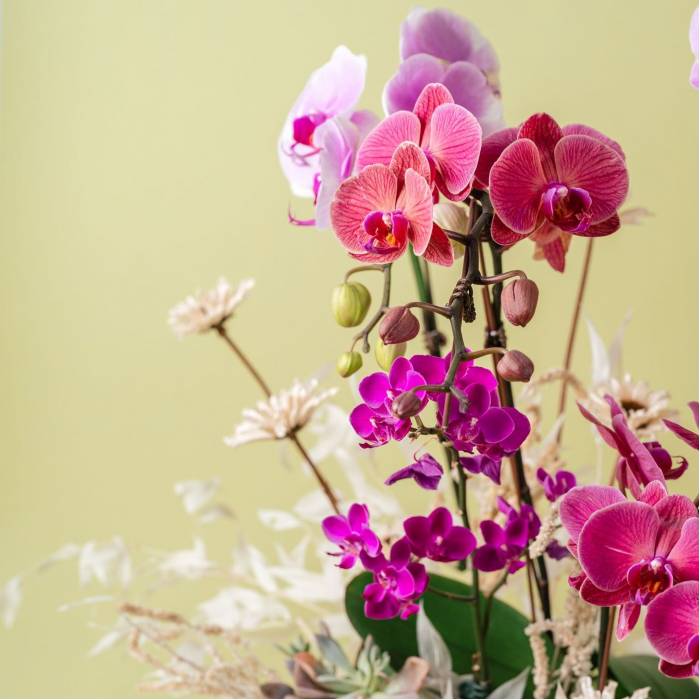 Vibrant Orchid Vase