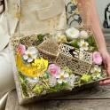 New Flowers Collection
