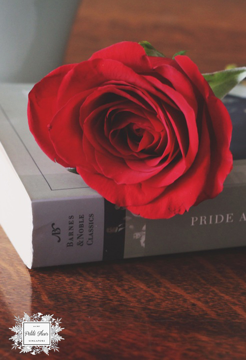 The Book and The Single Rose
